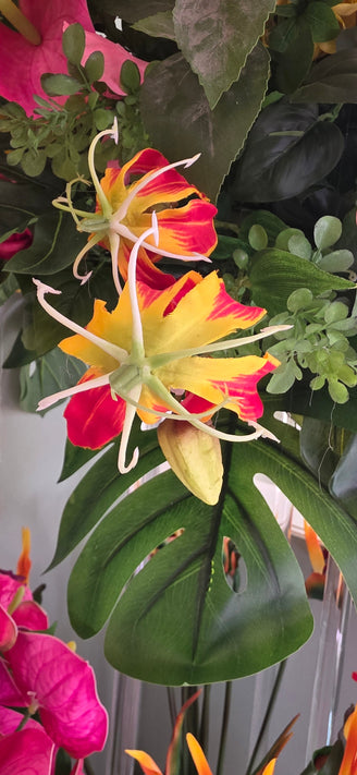 Gloriosa
