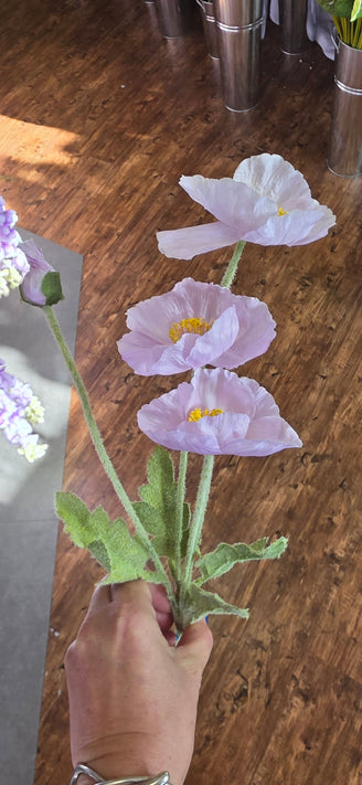 Poppy