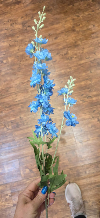 Delphinium
