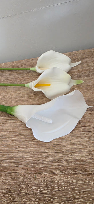 Calla