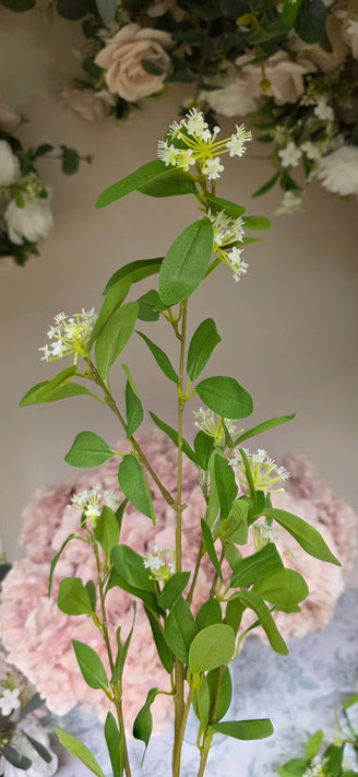 Privet