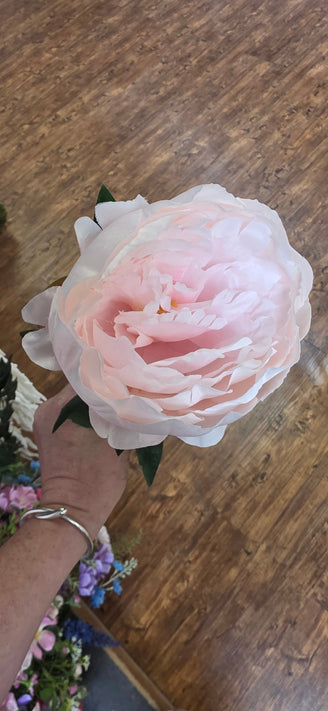 Peony