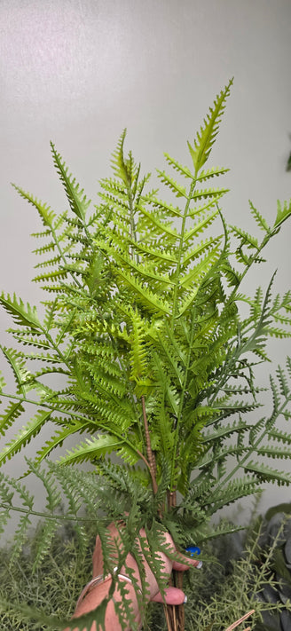 Foliages
