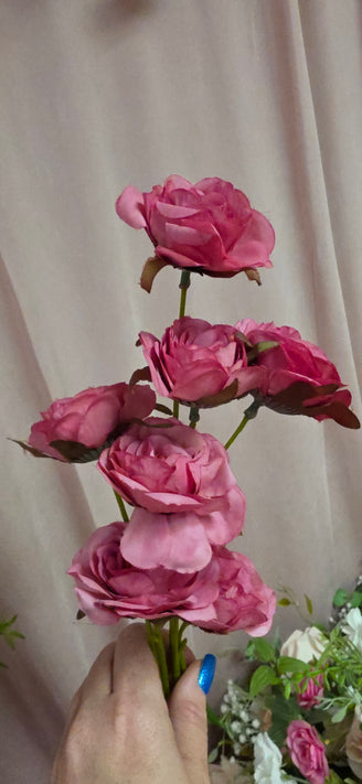 Spray rose