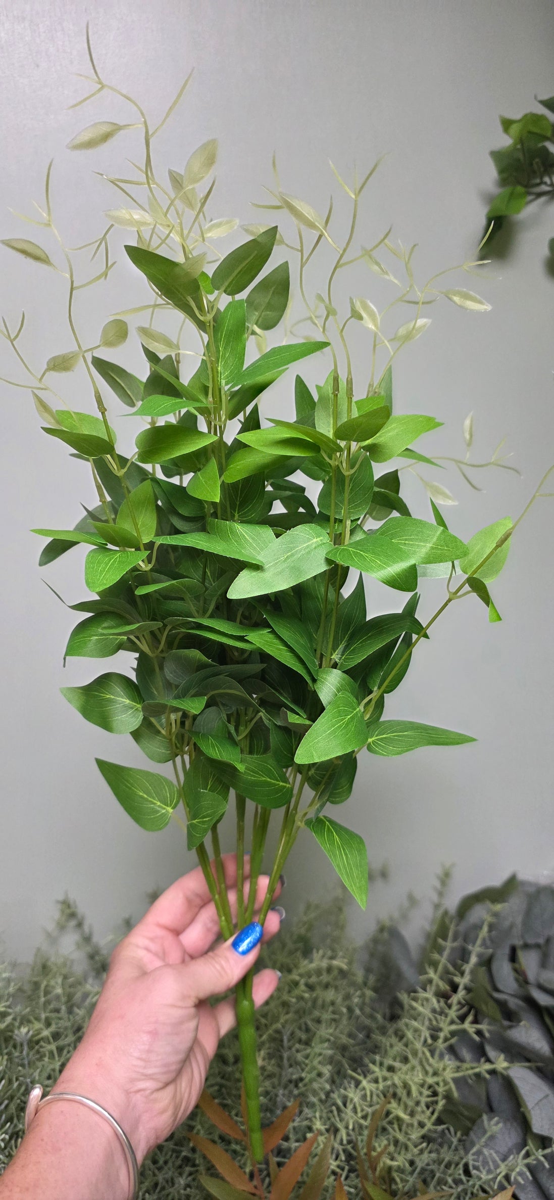 Ruscus Bush - Short