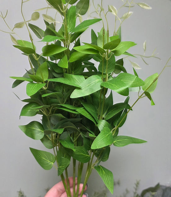Ruscus Bush - Short