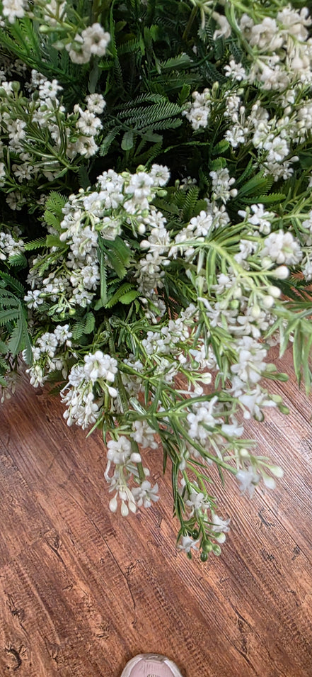 Waxflower - White