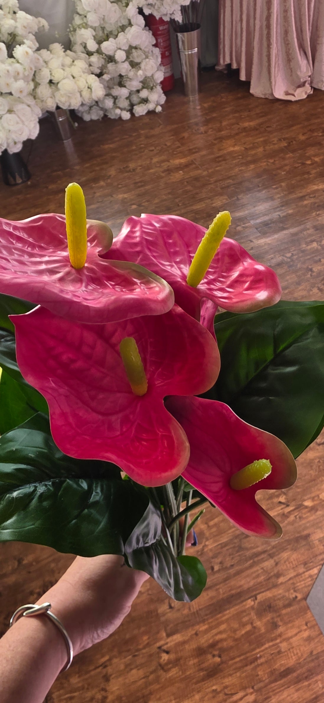 Anthurium Bunch - Pink