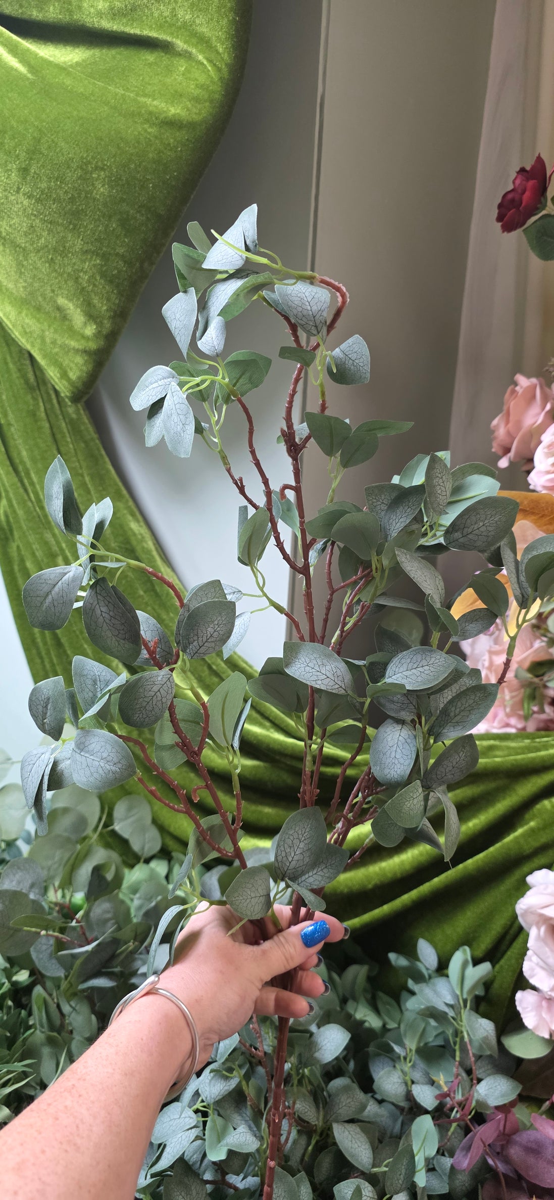 Eucalyptus Gunni