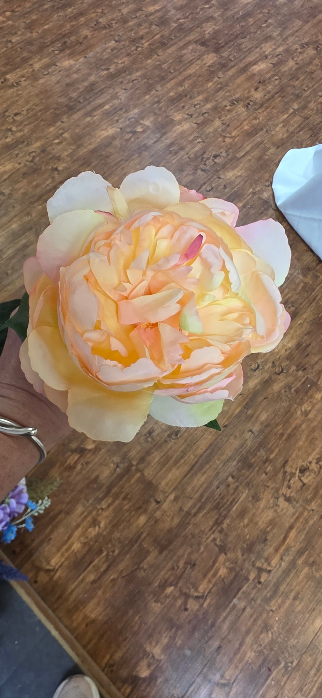 Peony - Peach