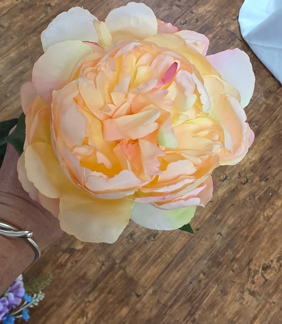 Peony - Peach