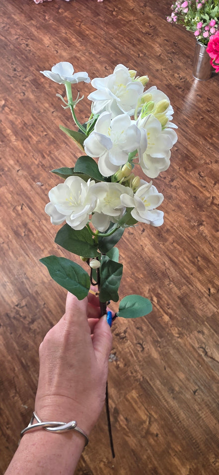 Oxypetalum White