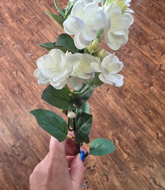 Oxypetalum White