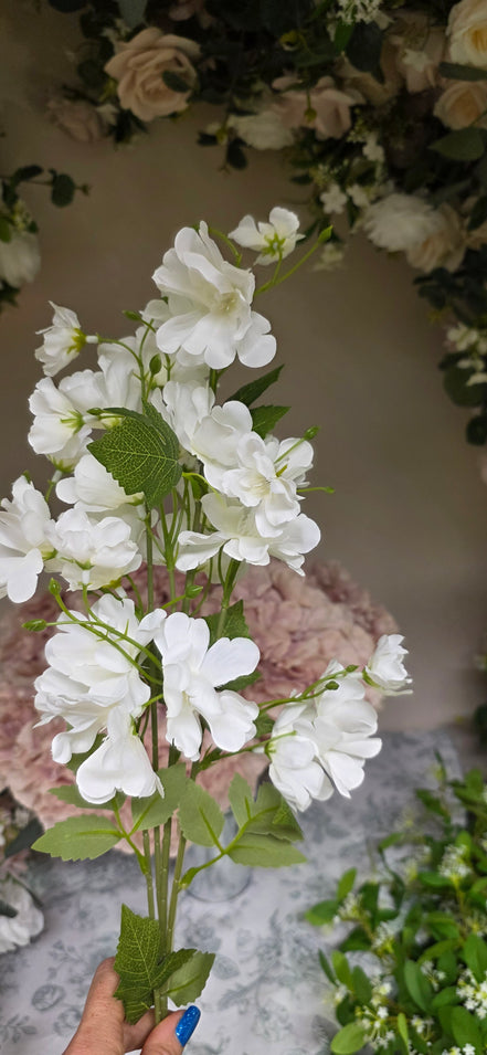 Spring Blossom
