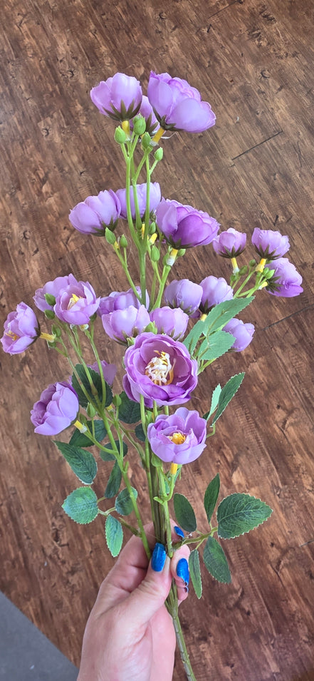 Garden Spray Rose Purple
