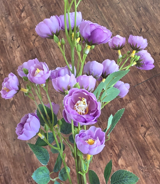 Garden Spray Rose Purple