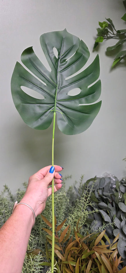 Large Monstera Leaf