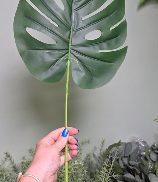 Large Monstera Leaf