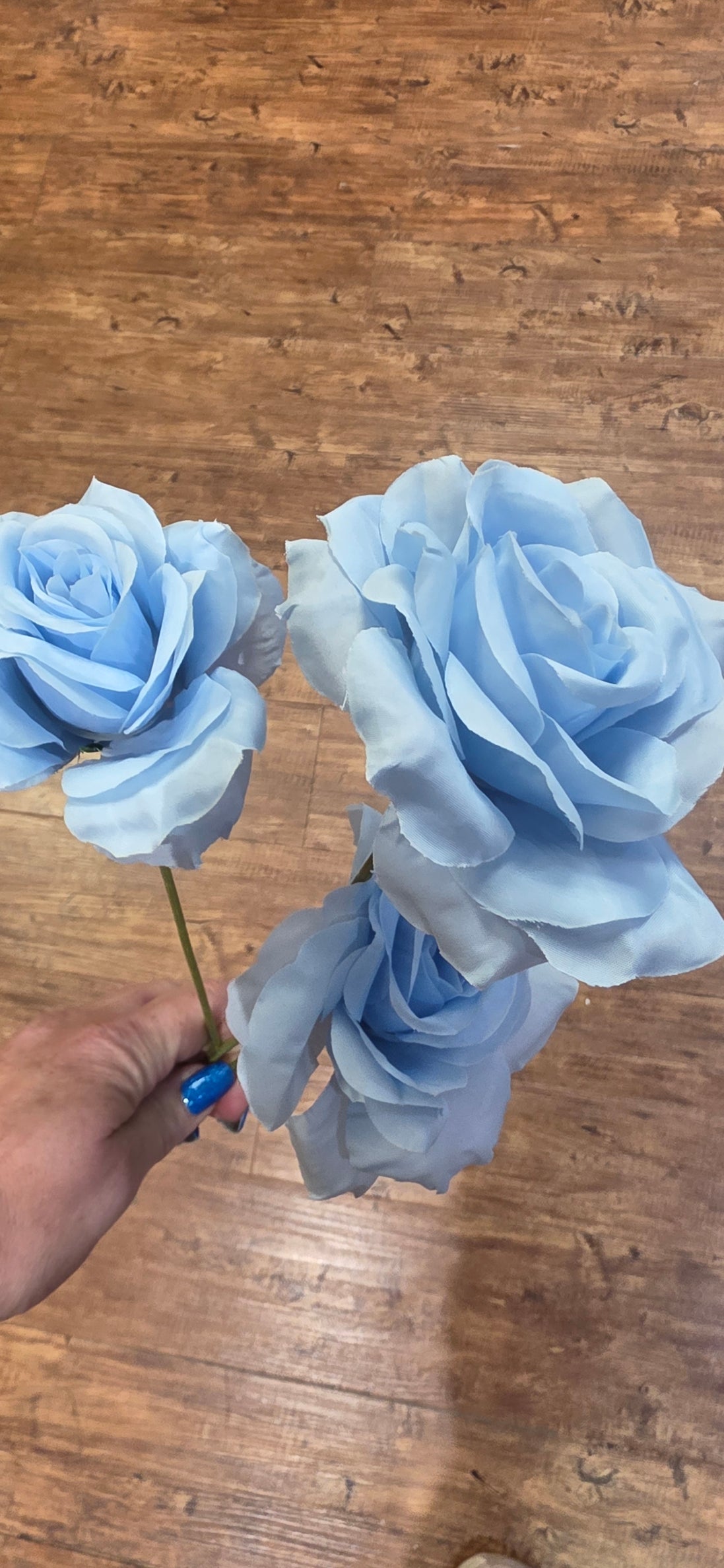 Rose Trio - blue