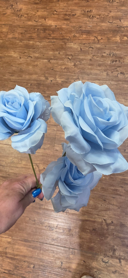 Rose Trio - blue