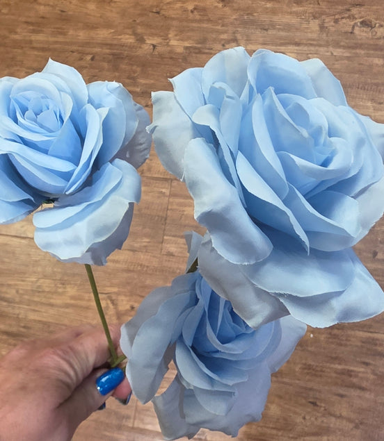 Rose Trio - blue