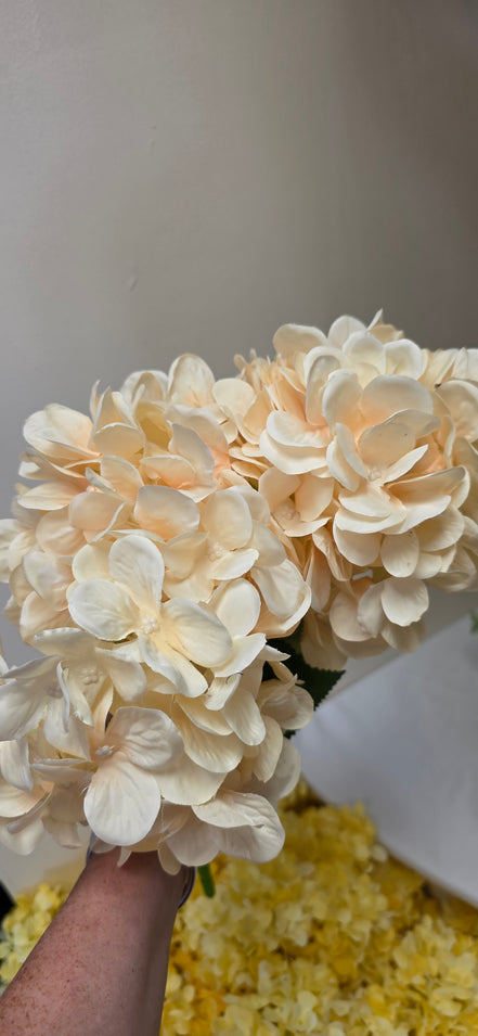 Hydrangea Bunch Butter Yellow