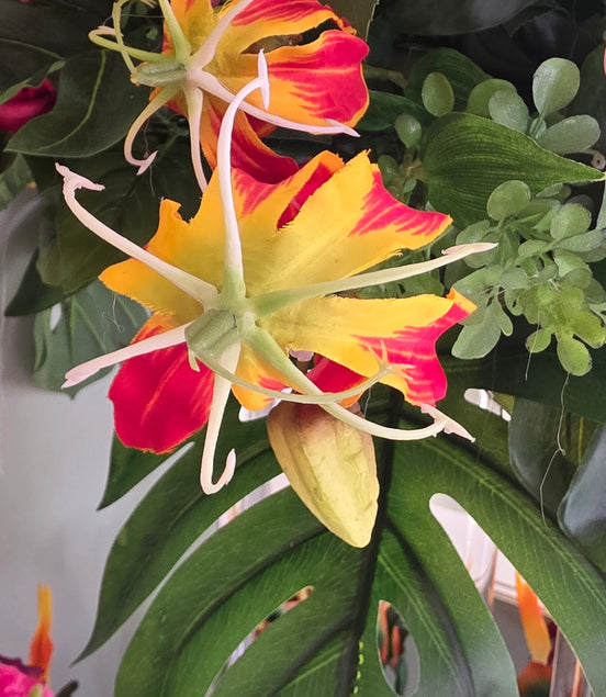 Gloriosa