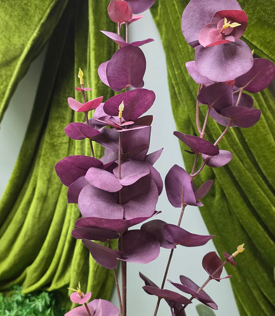 Eucalyptus Tall Burgundy