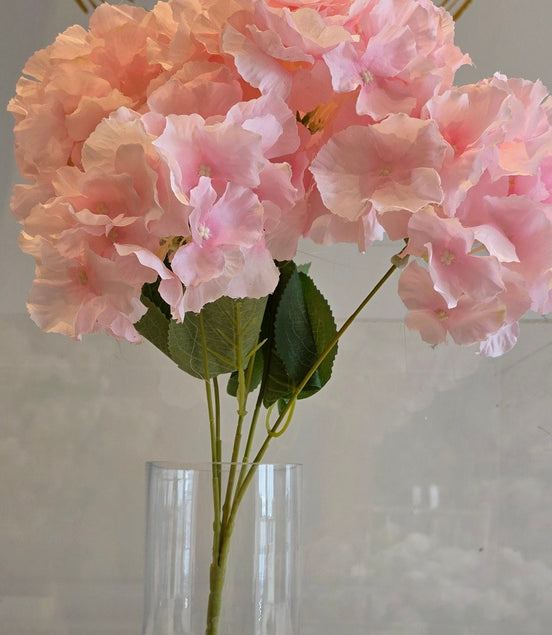 Hydrangea Bunch Pale Pink