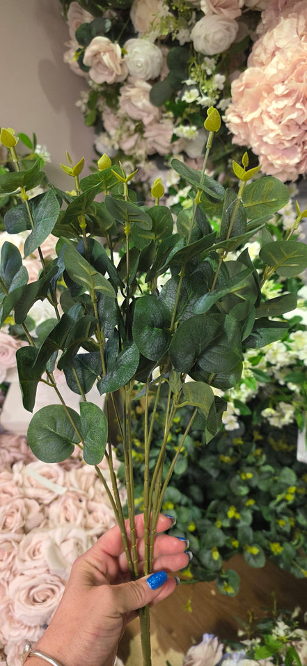 Eucalyptus Bunch - Short