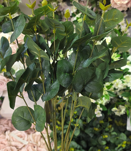 Eucalyptus Bunch - Short