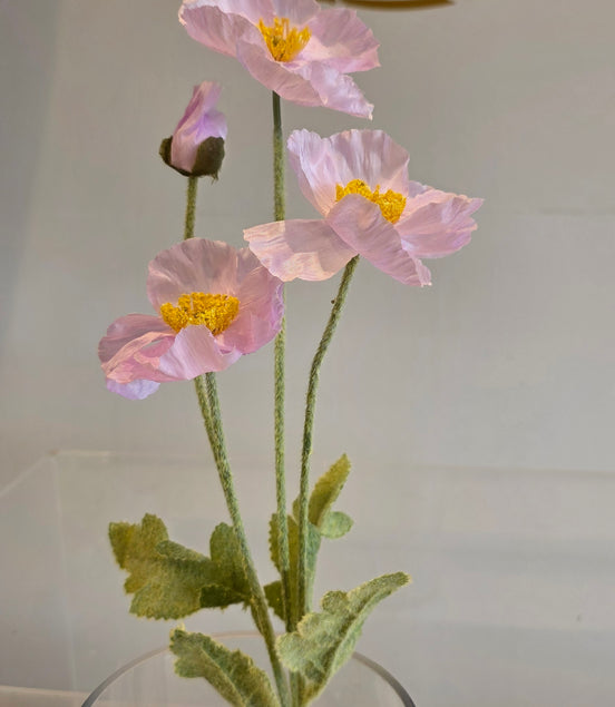 Poppy Spray Pink