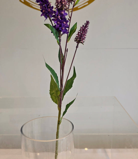Veronica Spray Purple