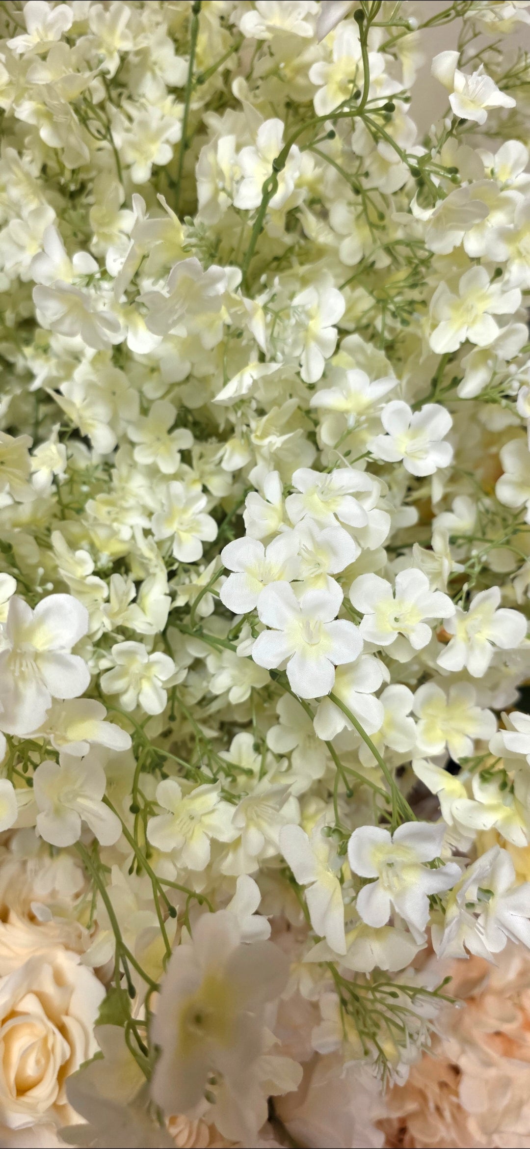 Jasmine - Cream