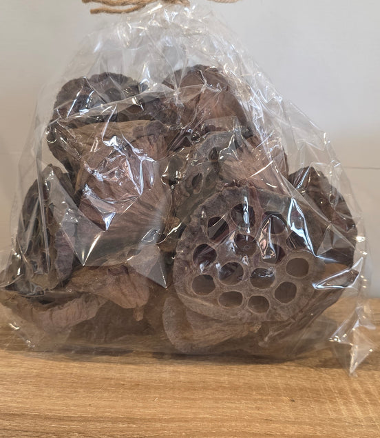 Lotus Heads Large (20)