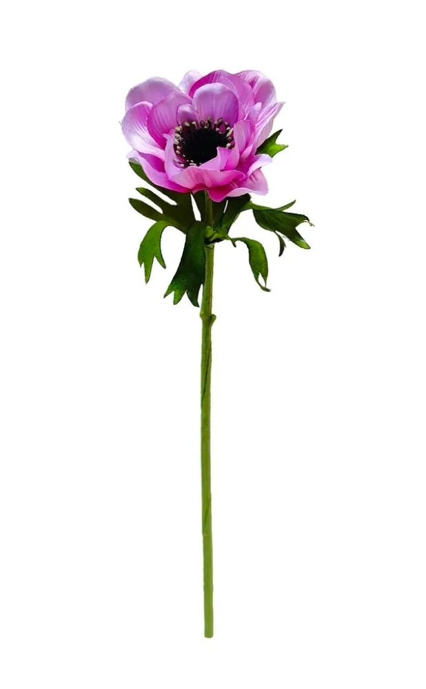 Anemone Pink