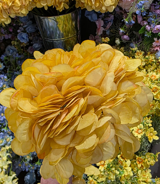 Hydrangea - Yellow/mustard