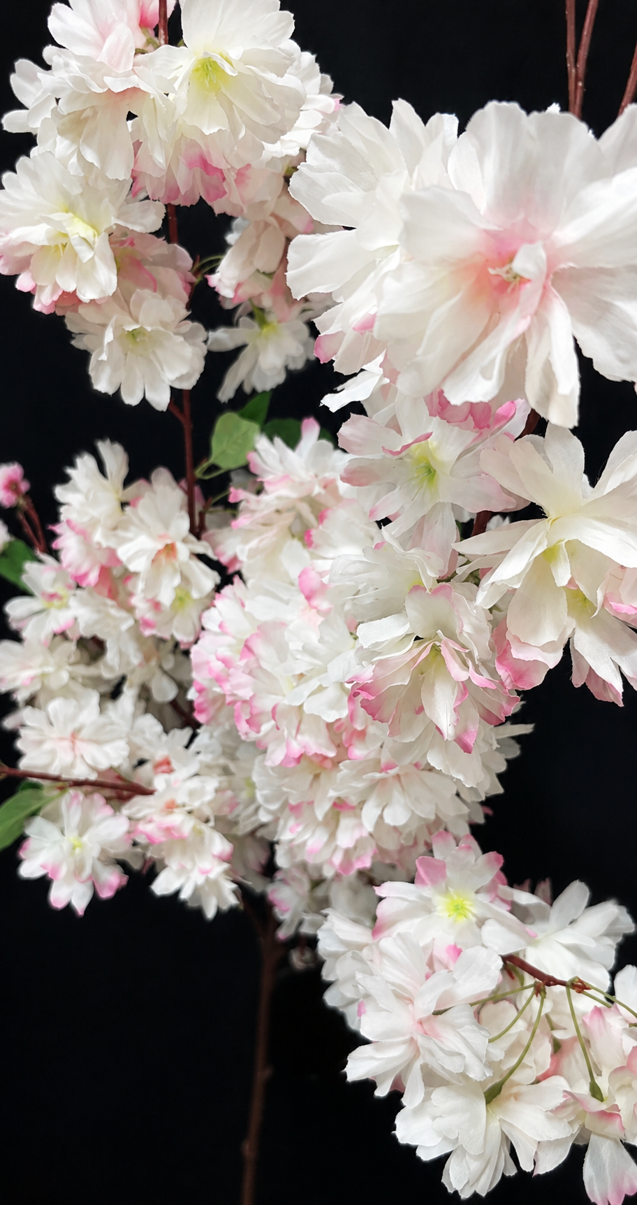 Apple Blossom Branch - Pale Pink