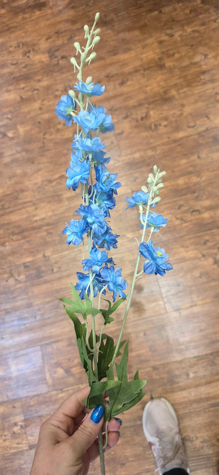 Delphinium - Blue