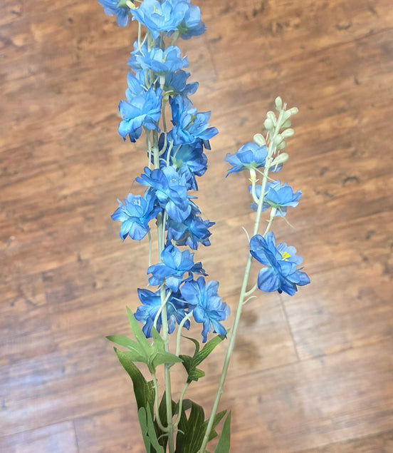 Delphinium - Blue