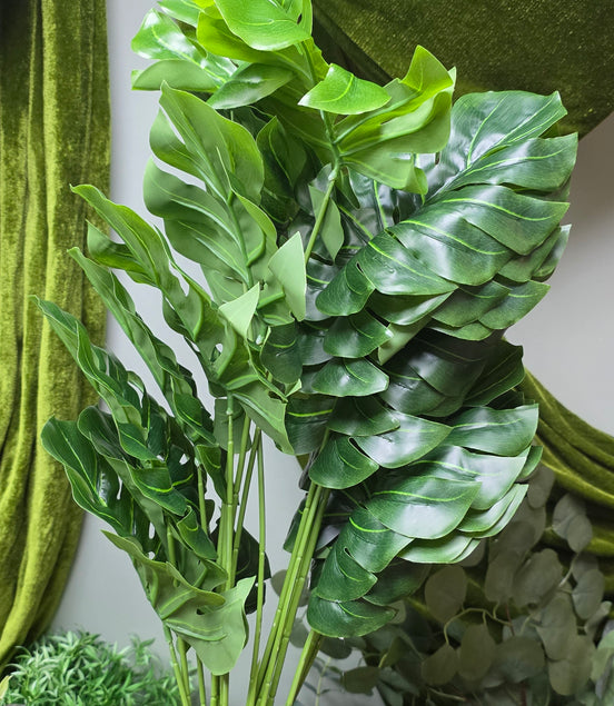 Monstera Bush