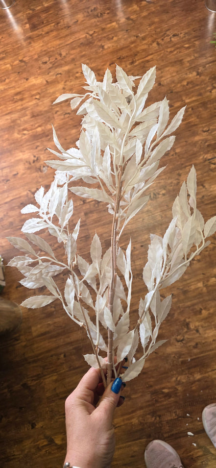 Bleached Ruscus