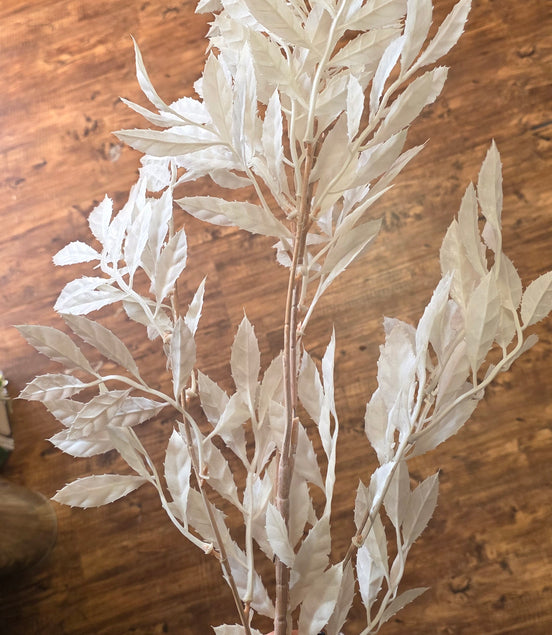 Bleached Ruscus