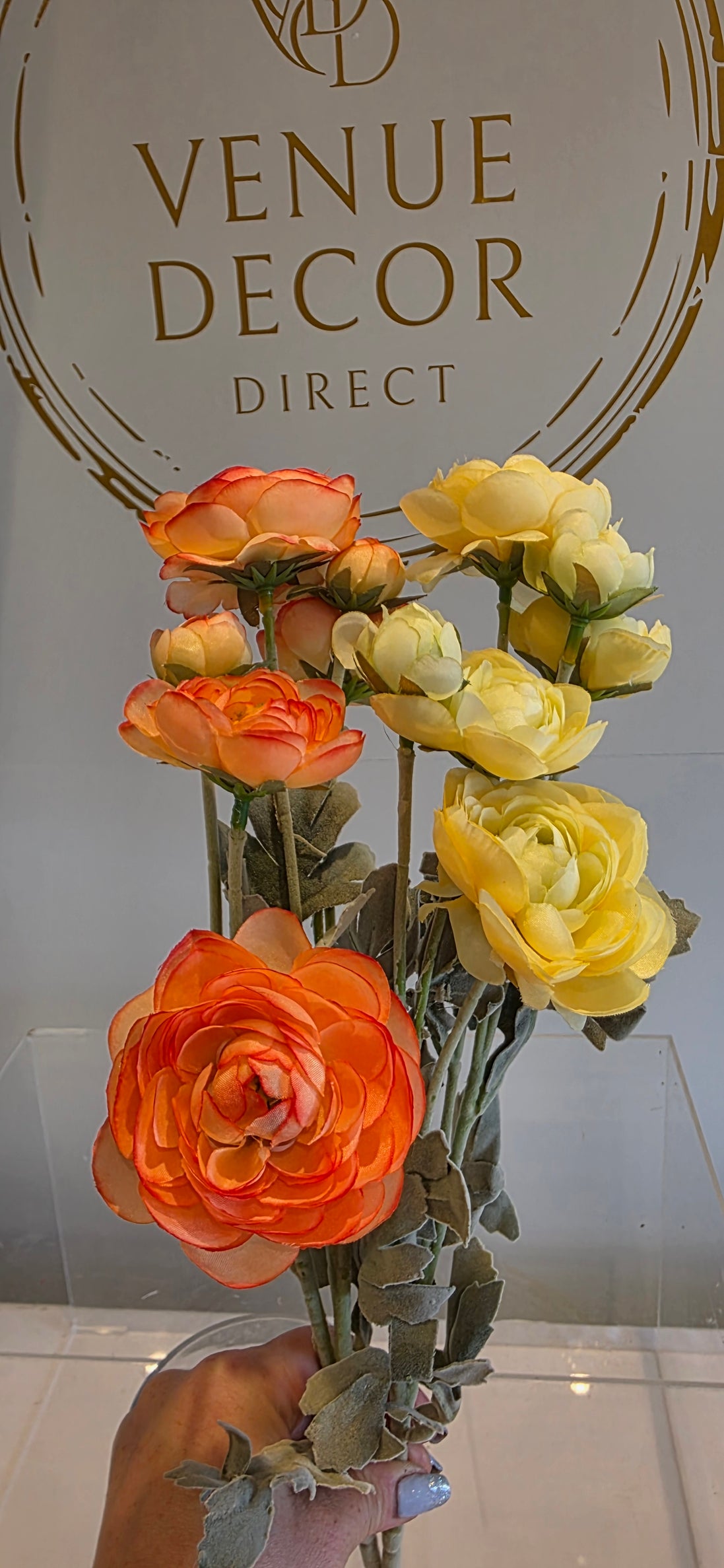 Ranunculus 6 Heads - Yellow