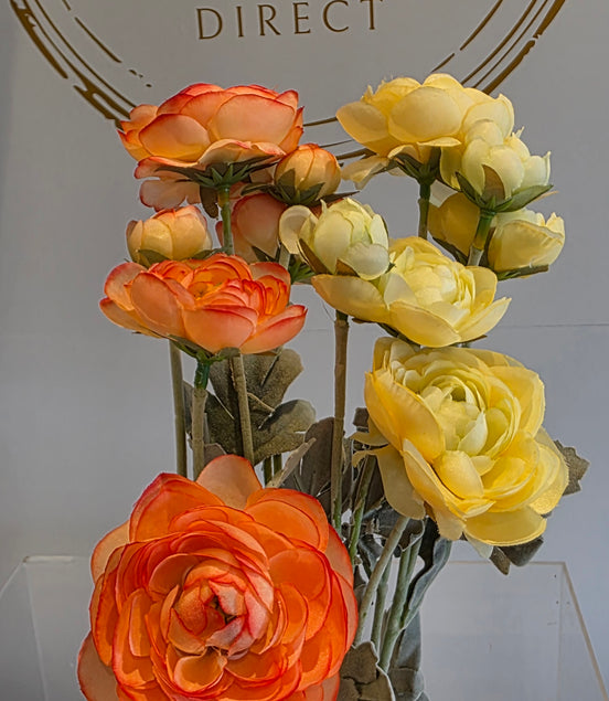 Ranunculus 6 Heads - Orange
