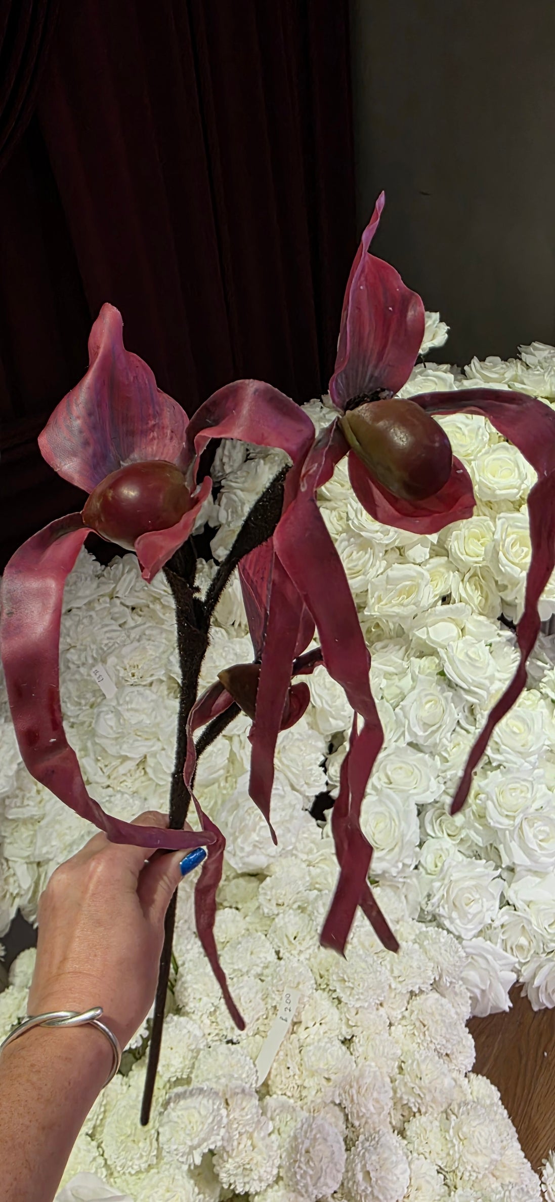 Slipper Orchid - Burgundy