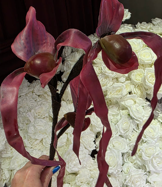 Slipper Orchid - Burgundy