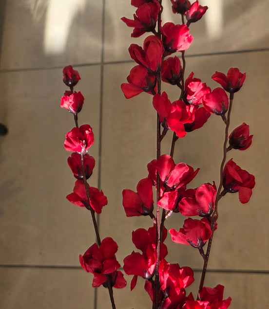 Red Blossom