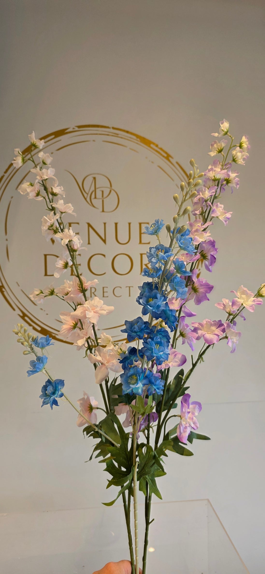 Delphinium Lilac