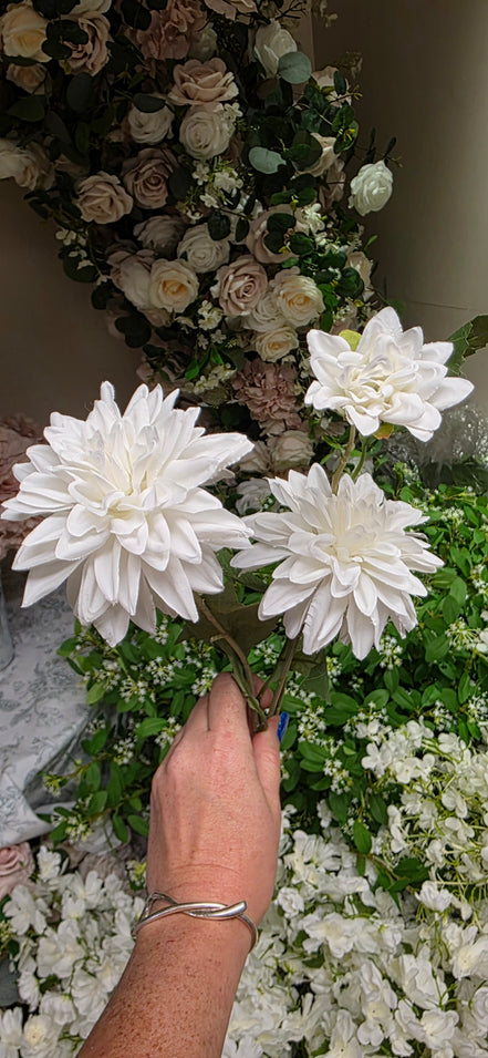 Dahlia - White